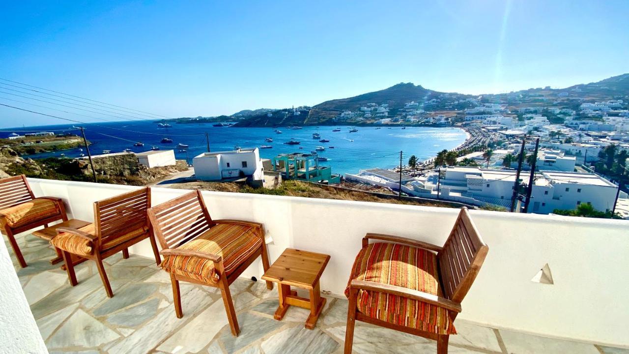 Dream View